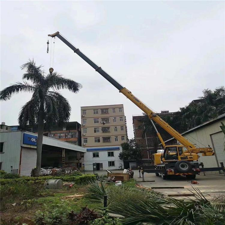 平舆汽车吊出租多少钱？全面解析与市场行情